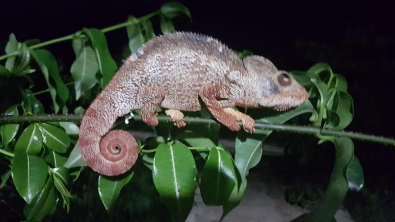 Sanjeela-Plage Coco Antsiranana Esterno foto